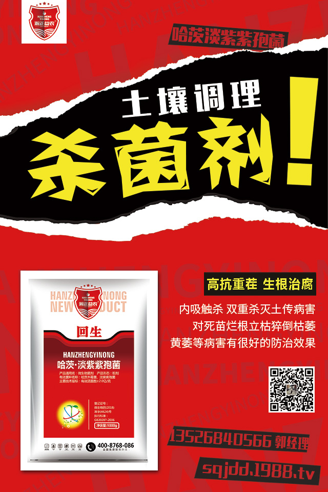 ������������ô�k���������������Ú�������B