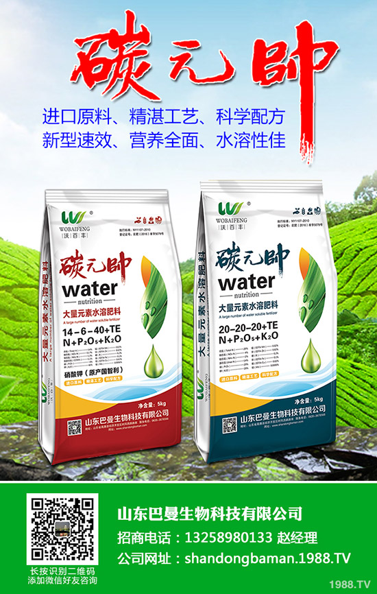 國內(nèi)鉀肥價(jià)格平平!近期最新鉀肥行情走勢(shì)預(yù)測(cè)2019-9-19