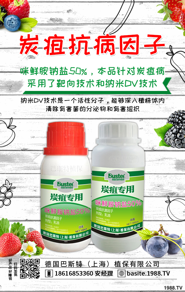 ��ݮ����