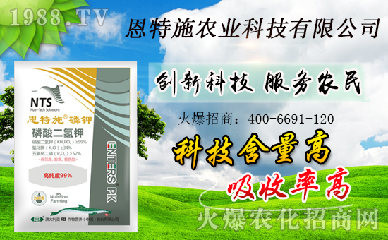 火爆農(nóng)化網(wǎng)喜迎新盟友,攜手恩特施共走財(cái)富之路