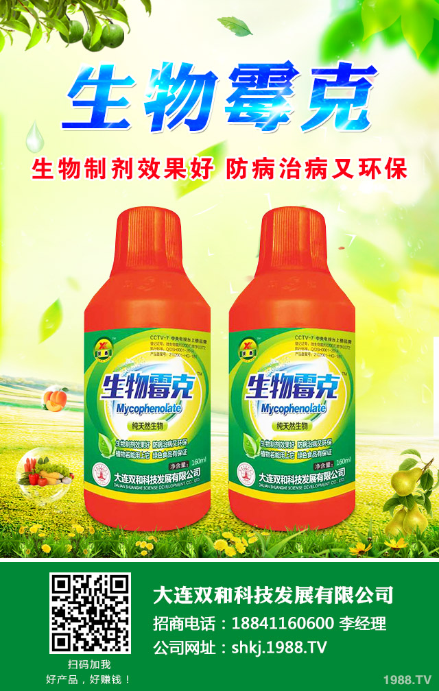 西瓜根腐病怎么辦？西瓜根腐病有效防治技巧