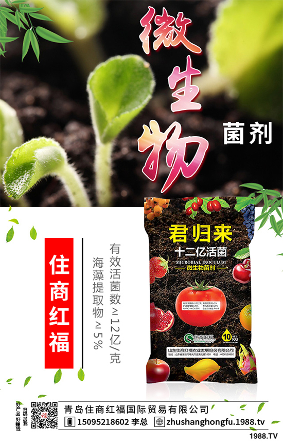 豌豆該怎么施肥?豌豆高產(chǎn)施肥技術(shù)