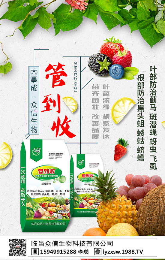 茼蒿大概什么時候種植?茼蒿的種植時間及種植技術(shù)