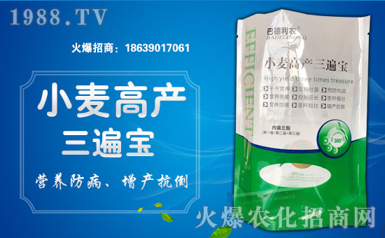 熱烈祝賀山東巴德利農(nóng)加盟1988.TV,開(kāi)啟網(wǎng)絡(luò)招商新模式!