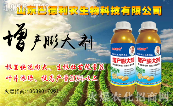 熱烈祝賀山東巴德利農(nóng)加盟1988.TV,開(kāi)啟網(wǎng)絡(luò)招商新模式!