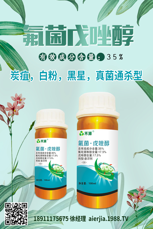 芹菜黑心腐爛怎么防治?芹菜黑心腐爛要對癥防治