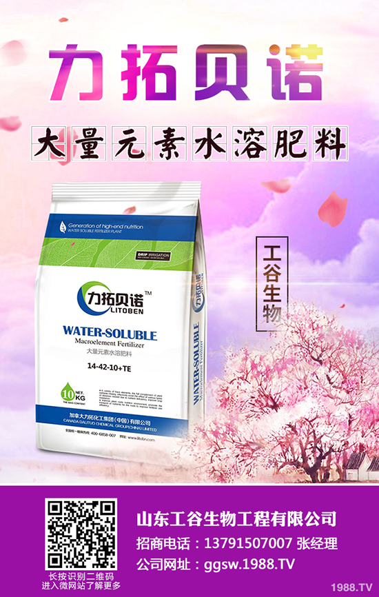 �ﶬ��С�Ͳ���ηNֲ���ﶬ��С�Ͳ˷Nֲ���g�����g����������