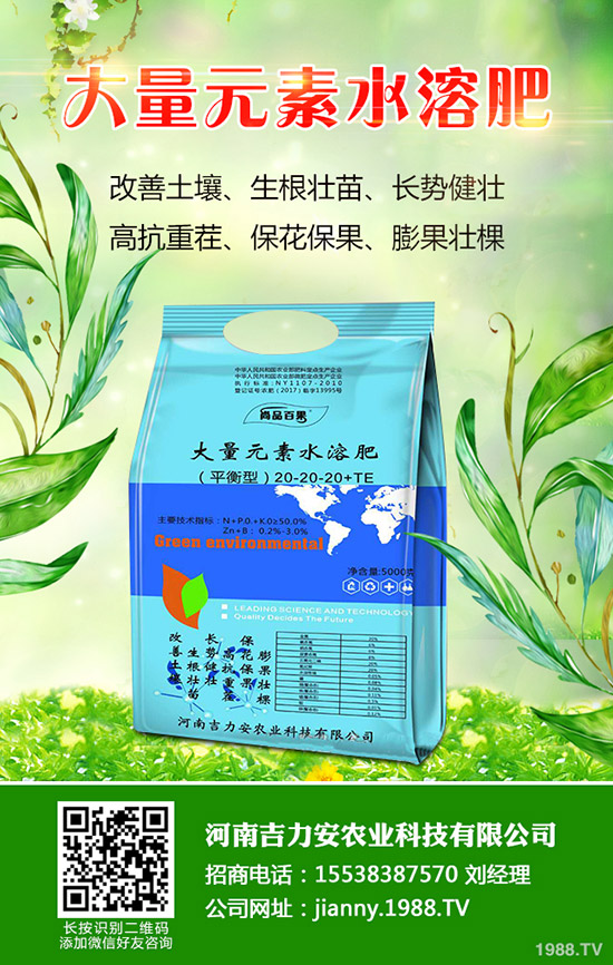 ����ʲô�r��N������Nֲ��������