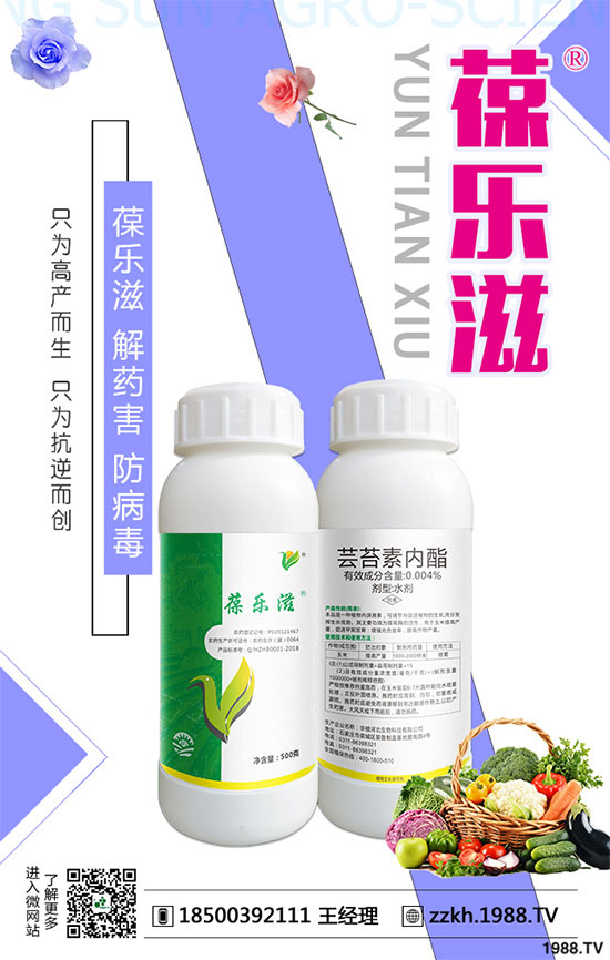 白蘿卜的功效與作用有哪些?白蘿卜的營養(yǎng)價(jià)值!
