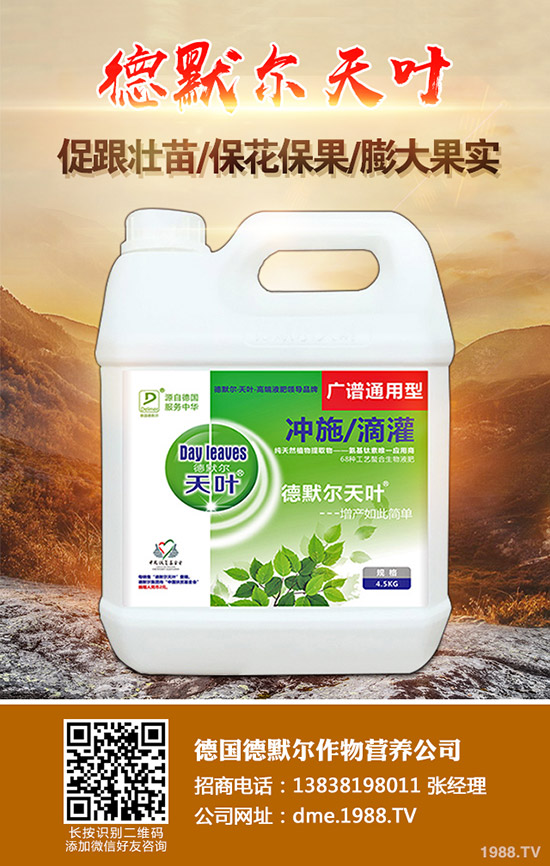 松茸的營養(yǎng)價(jià)值有哪些,松茸的功效與作用,食用禁忌!
