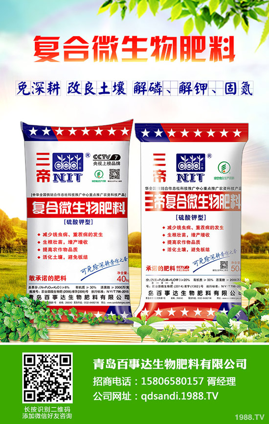 菠菜適合什么季節(jié)種植?菠菜種植時(shí)間及種植技術(shù)!