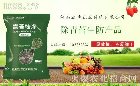 神奇除青苔劑!,不反彈!干凈,青苔無蹤!