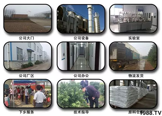 神奇除青苔劑!,不反彈!干凈,青苔無蹤!