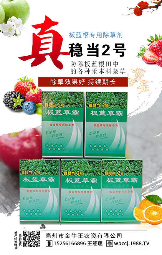 【金牛王】祝廣大經(jīng)銷商朋友們,新的一年生意紅火、財源廣進(jìn)!