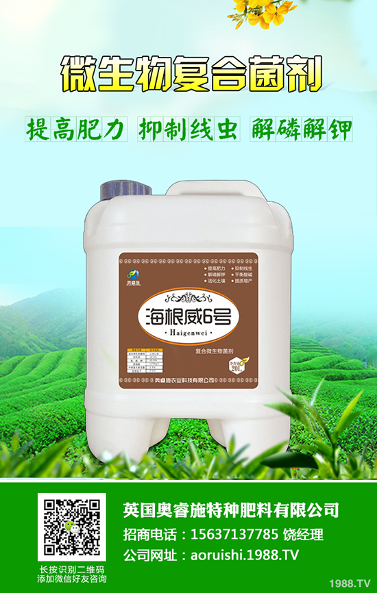 巢蜜的功效與作用是什么,蜂巢蜜的辨別及營(yíng)養(yǎng)價(jià)值!