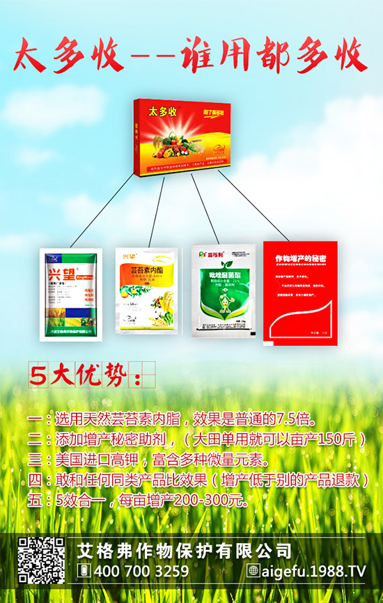 龍眼的種植要求有哪些？龍眼的種植要點(diǎn)！