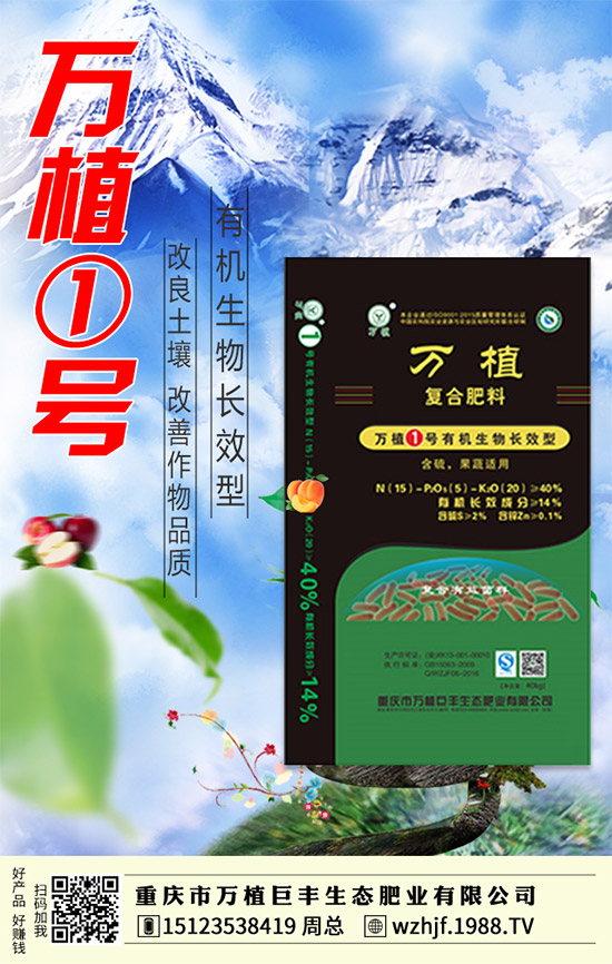     Rĩ@Јf䣡2020-1-4¶@r