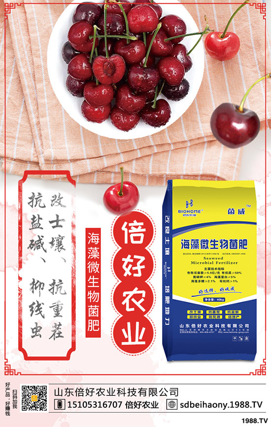 2020尿素價(jià)格要上漲!最新尿素行情走勢分析!