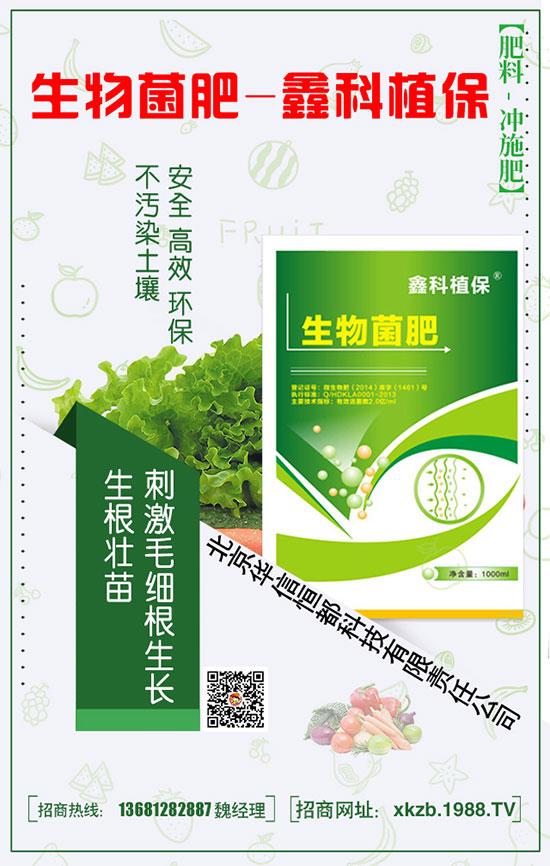 豆角長勢好,需要豆角的科學(xué)施肥管理