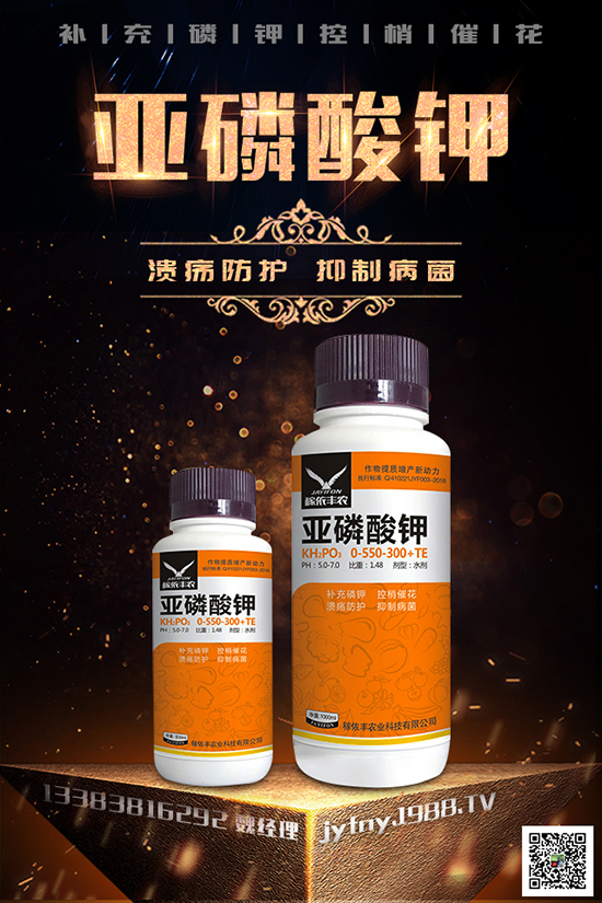 2020種黑番茄賺錢嗎？黑番茄的種植方法有哪些？