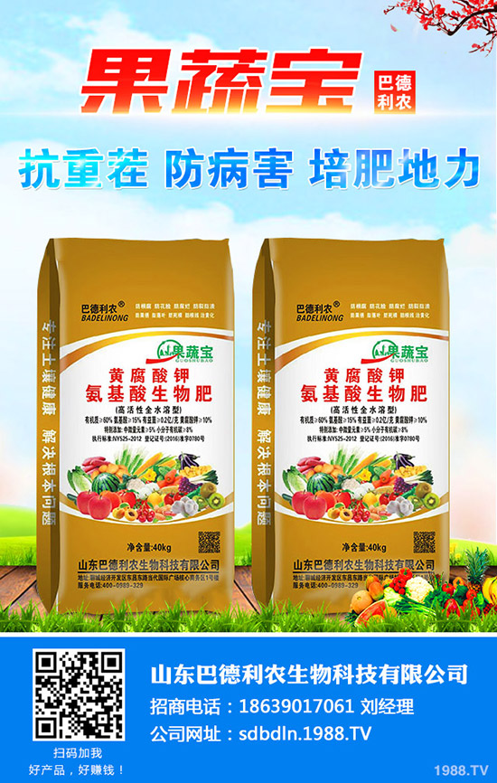 細(xì)香蔥如何種植?細(xì)香蔥栽培時間及種植方法有哪些?