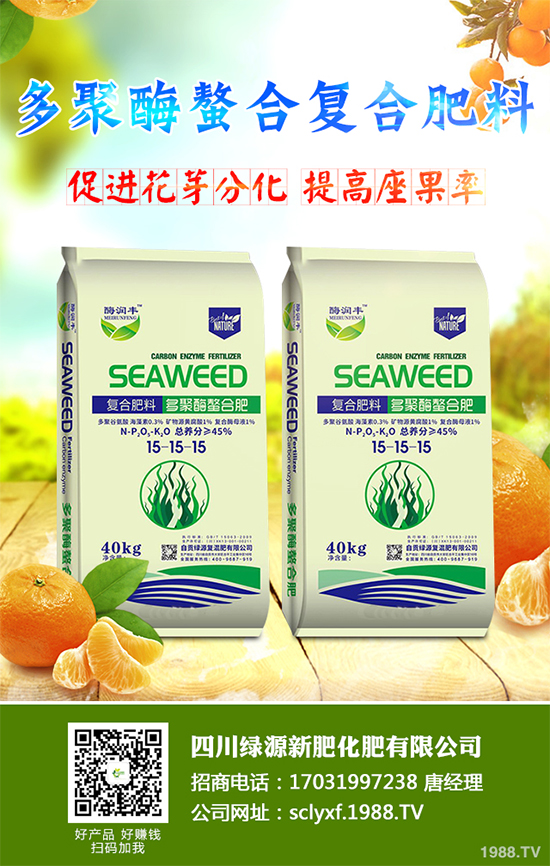 冬季南瓜該如何種植？反季南瓜大棚種植技術(shù)