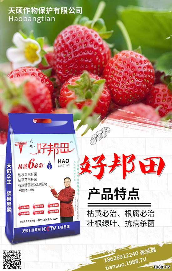 冬季南瓜該如何種植？反季南瓜大棚種植技術(shù)