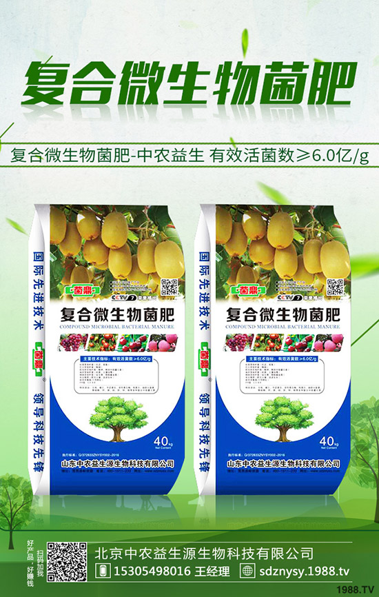 2020年1月9日今日國內(nèi)復(fù)合肥價(jià)格走勢及交易日評