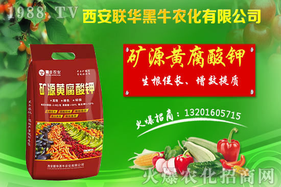 �＾����ԓ��ι������＾������푪(y��ng)������Ĵ��`�^(q��)��