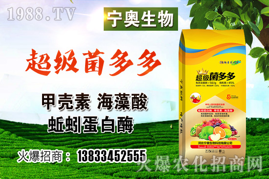 彩色花椰菜多少錢一斤？彩色花椰菜種植效益如何？怎樣種植？