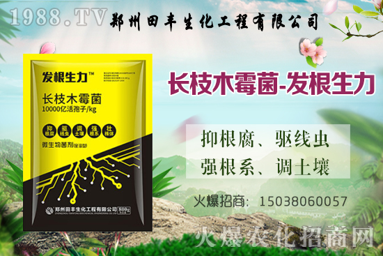 Сqr(ji)Сr(ji)(wn)ƫ(qing)ֵ؅^(q)^m(x)ϝq