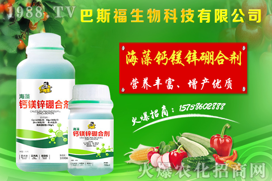 節(jié)后麥?zhǔn)辛魍ㄆ伲←渻r格整體偏強運行!