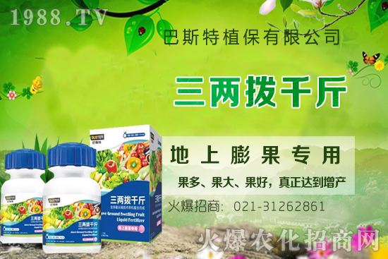 Ӱ�ţϥ��ϵ�����L(zh��ng)��������Щ��ţϥ����������ʲô�~��ʣ�