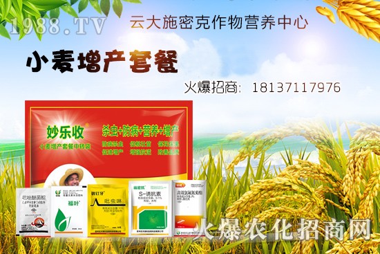 С�����N�󲻳�������ʲôԭ����ɵģ�