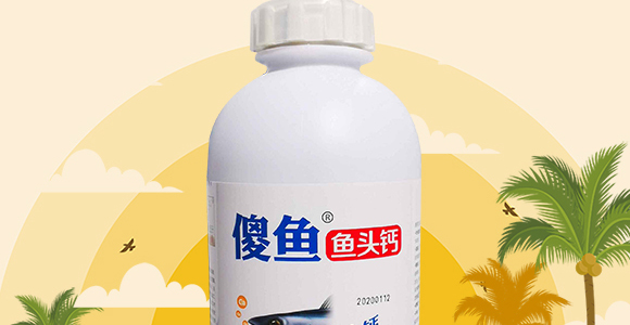 ɵ�~�~�^�}-ɵ�~�~��-���S_02