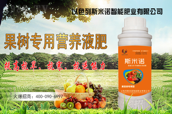 大豆價(jià)格持續(xù)“高漲”?今日東北大豆報(bào)價(jià)一覽!