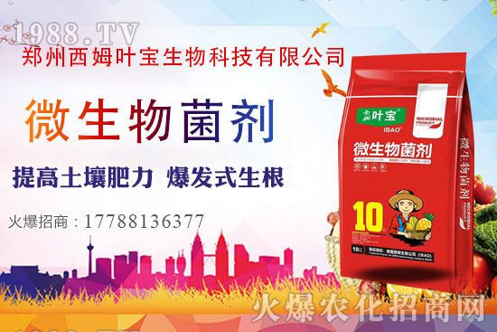     117ղօ^(q)rC