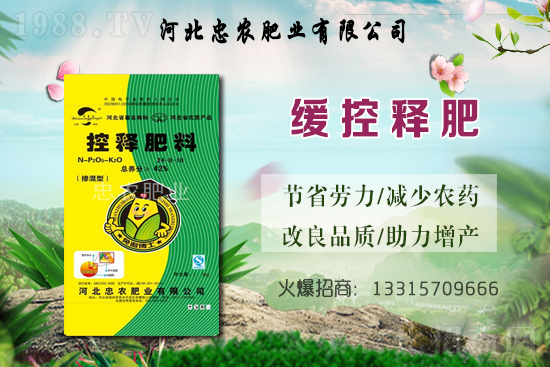 大蒜的產(chǎn)地在哪？種一畝地大蒜要用多少蒜種？畝產(chǎn)量是多少斤？