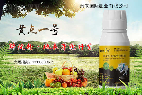 黃瓜葉片起“小黃點”是什么病？防治方案有哪些？