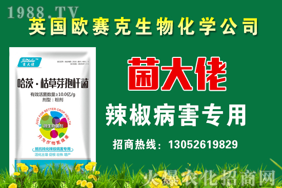 小麥生長(zhǎng)需要澆幾次水?小麥澆水有哪些注意事項(xiàng)?