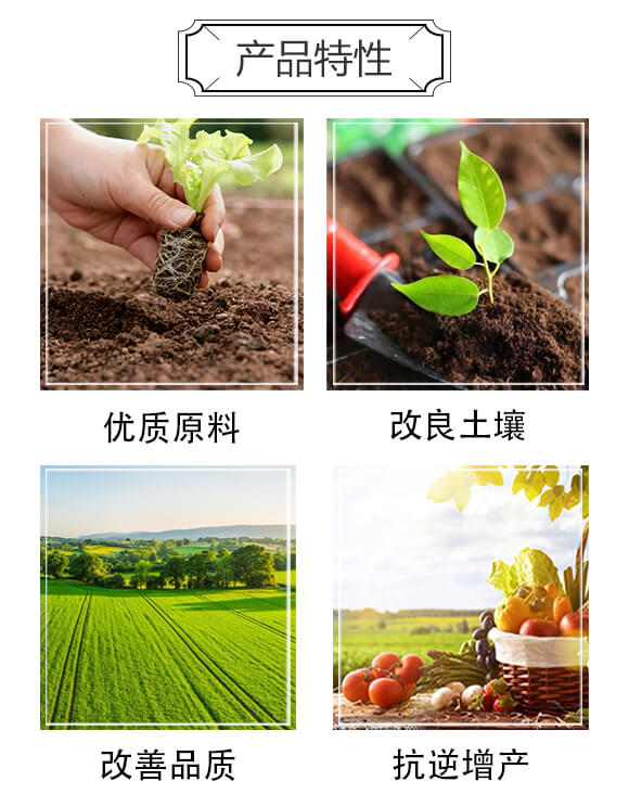 玉米專用型防滲漏長效功能肥-大化肥業(yè)_03