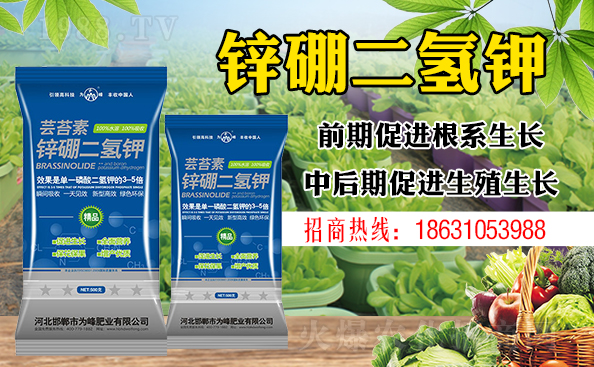 ����ƽ����ԓ���ӝ�ˮ����ʲôˮ����