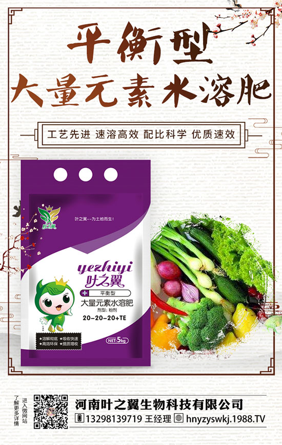 牡丹什么時(shí)候開花?如何延長(zhǎng)牡丹開花時(shí)間?