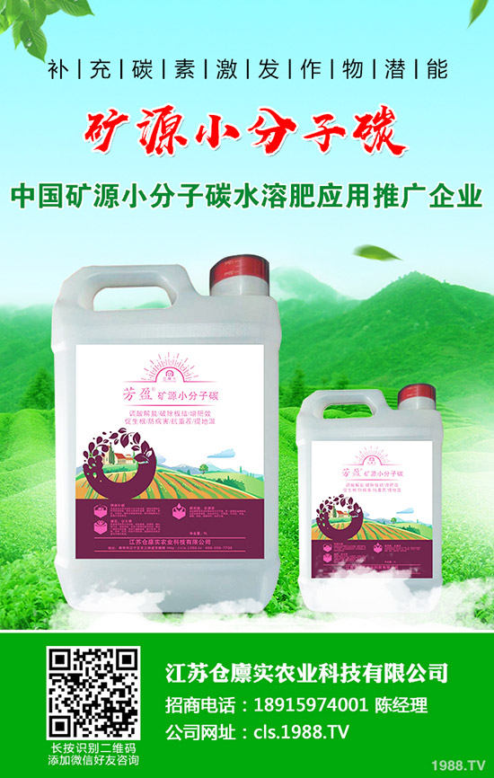 黑苦瓜種子什么時(shí)候播種?黑苦瓜種植技術(shù)!