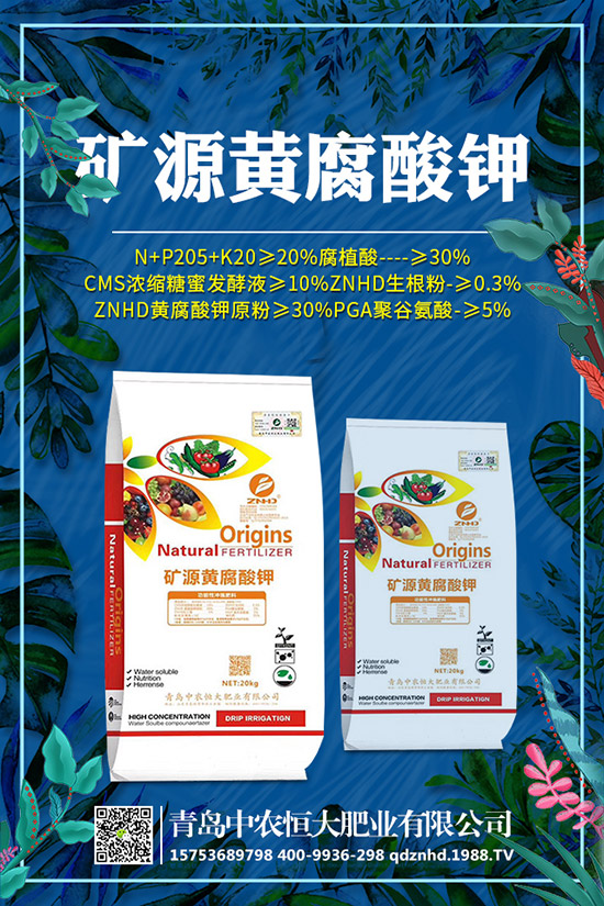 �紺���˷Nֲ���g(sh��)����Щ�����g����Ҫע��ʲô��