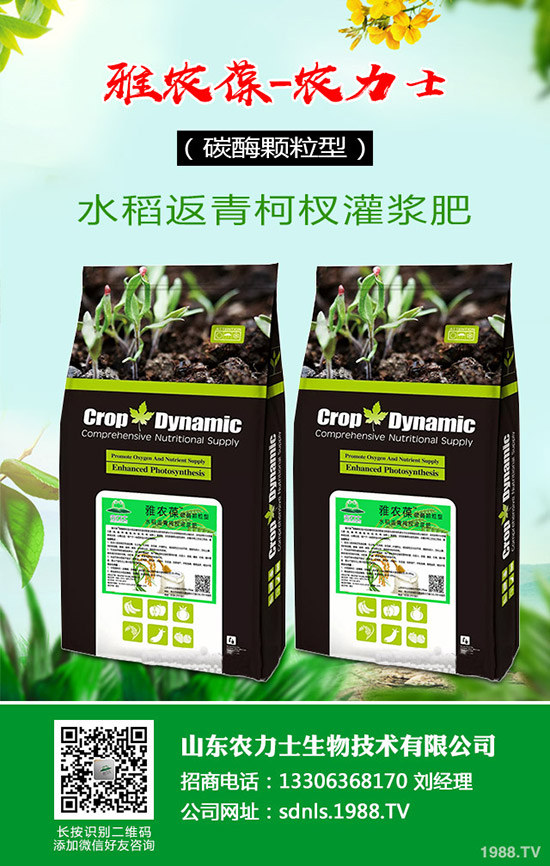 原料和成本持續(xù)上漲,復(fù)合肥貨緊價揚(yáng)!最新行情走勢分析2020-3-17!