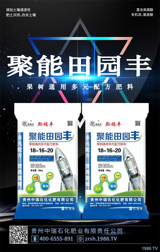 雷丸又稱竹鈴芝、雷實(shí)、竹苓、竹兜菌,是一種常用的藥用菌,與茯苓、豬苓并列為“三苓”。具有殺蟲消積的功效,常用于絳蟲、鉤蟲、蛔蟲、蟲積、小兒疳積等病癥,F(xiàn)今市場雷丸供藥多以野生為主,而人工目前少有栽培;雷丸種植對環(huán)境要求比較苛刻,喜溫暖氣候地區(qū),以林中潮濕潤地為宜,但田間管理簡易,只需注意溫度和干旱就行。那么,雷丸該怎么種?雷丸的種植方法及田間管理要點(diǎn)有哪些呢?