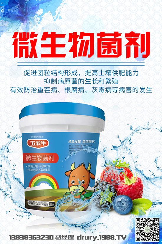 馬兜鈴該如何種植?馬兜鈴的種植技術(shù)要點