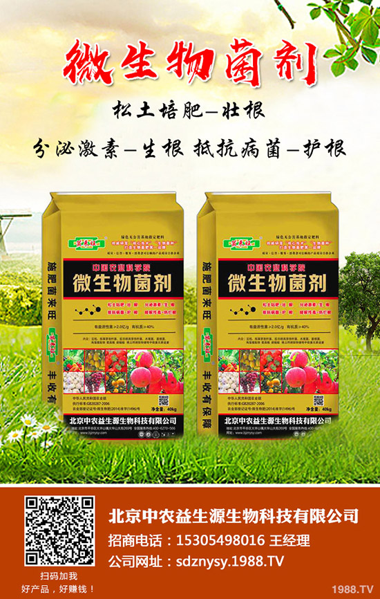 蘋果樹哪個時期比較需水!如何澆水?蘋果園的灌水方式!