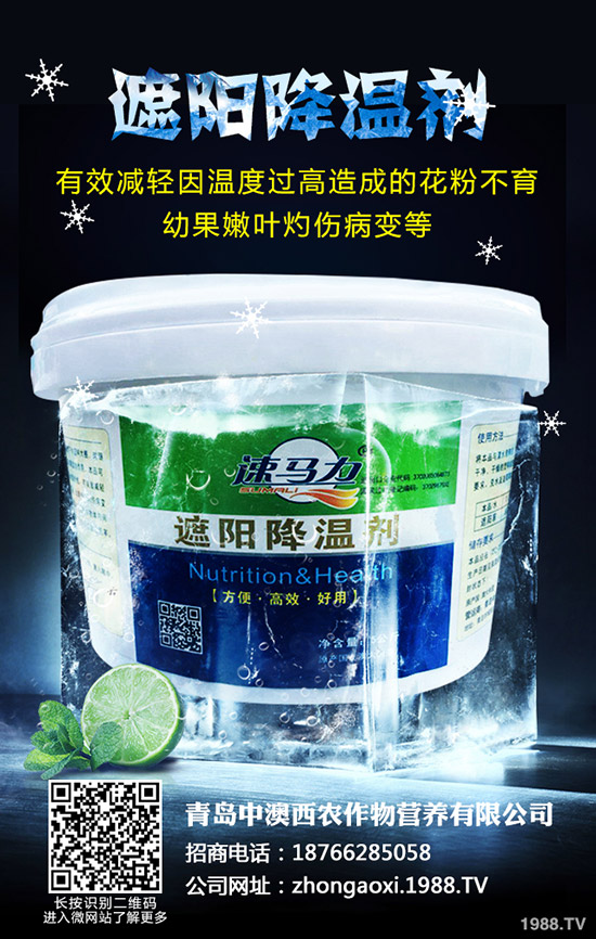 ��Ʒ�|(zh��)��Ҭ����ôʩ�����������@���c��